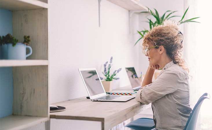 Streamlining Data Entry for Pet Store